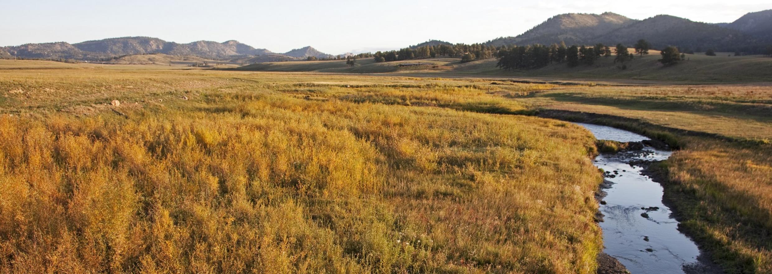 Landowner Services Palmer Land Conservancy